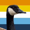 Goose