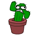 GG CACTUS
