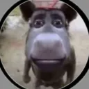 slyunkaw avatar
