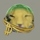 nsjeesy8283