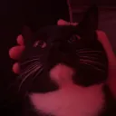 honkatonkaa