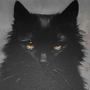 sneakyshott#0178's avatar