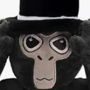 phenomenal_guava_26673 avatar