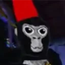 gori1_1avr_