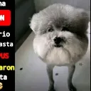 nadie_importantexd67 avatar