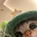 watcharakorn03