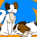 cats_blade avatar