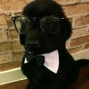 therealmrgolden