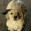 koleboi8
