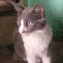 kenneth051493 avatar