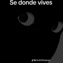 mandarina_4k avatar