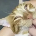 tankraider45._48481 avatar