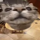 ali_games00059