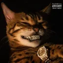 k2drilla