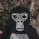 skitsvr.
