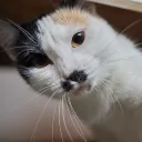 angel07andre075 avatar