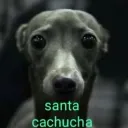 constance07582 avatar