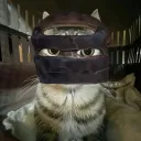 gussi_21312