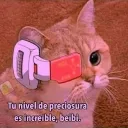 botija_pma avatar