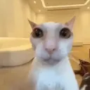 smellyman
