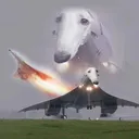 ww718