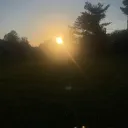d4nteeishim