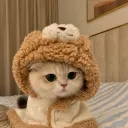 111kayamii111