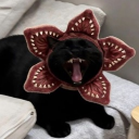 Clamyshell