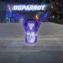 parrot09647
