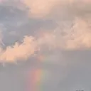 _nzmango