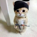 deeleteaccount