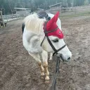 sophia.eq