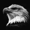 E. EMIR's avatar