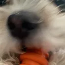 damian_sexy._. avatar