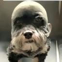https://cdn.discordapp.com/avatars/1378171683067920518/817b5548719ee3d146514c799cedfc4b.jpg?size=128