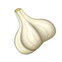 timogorlich