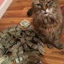 not_46744