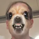 pang000042