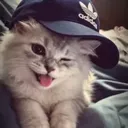 jakubsz23
