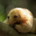 galletita0760 avatar