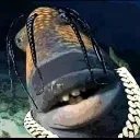 danzz789_72339 avatar