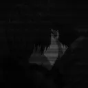 s._nr
