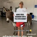 vk_forn