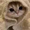 alexik_2