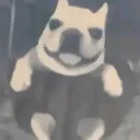 alexan_dermanej avatar