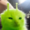 gato_alien1 avatar
