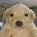 mayonesa767_83956 avatar