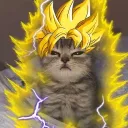 carlos9990876 avatar