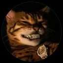 1mr_cat7 avatar