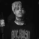 matteryt16